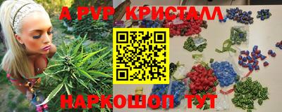 СК Гусев