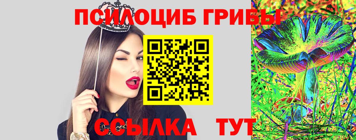 Псилоцибиновые грибы Cubensis Дагестанские Огни