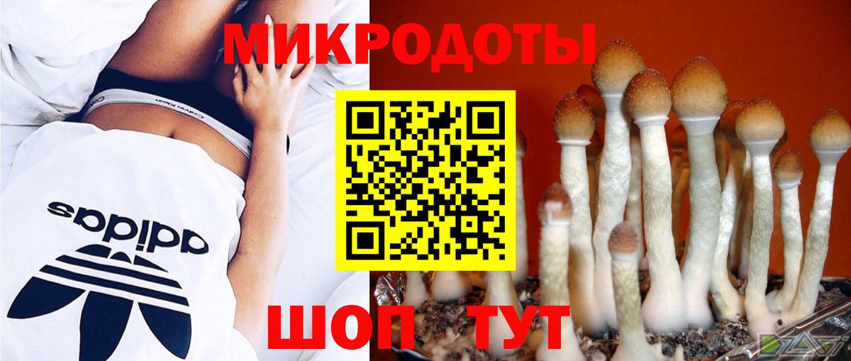 Дагестанские Огни  Псилоцибиновые грибы GOLDEN TEACHER  Вход с VPN  Галлюциногенные грибы ЛСД 