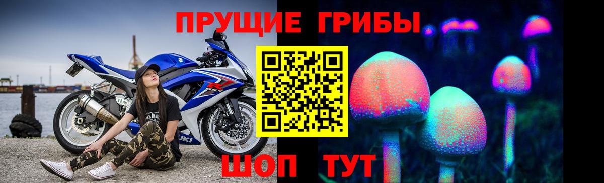 Псилоцибиновые грибы Magic Shrooms Дагестанские Огни