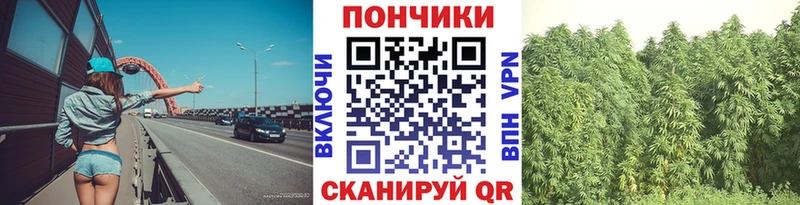 Марихуана гибрид  продажа наркотиков  Дагестанские Огни 