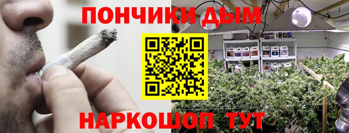 Бошки марихуана гибрид Дагестанские Огни
